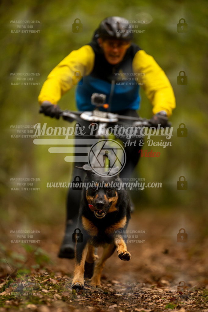 TSB_2023_E1_Bike-86 | PayLife