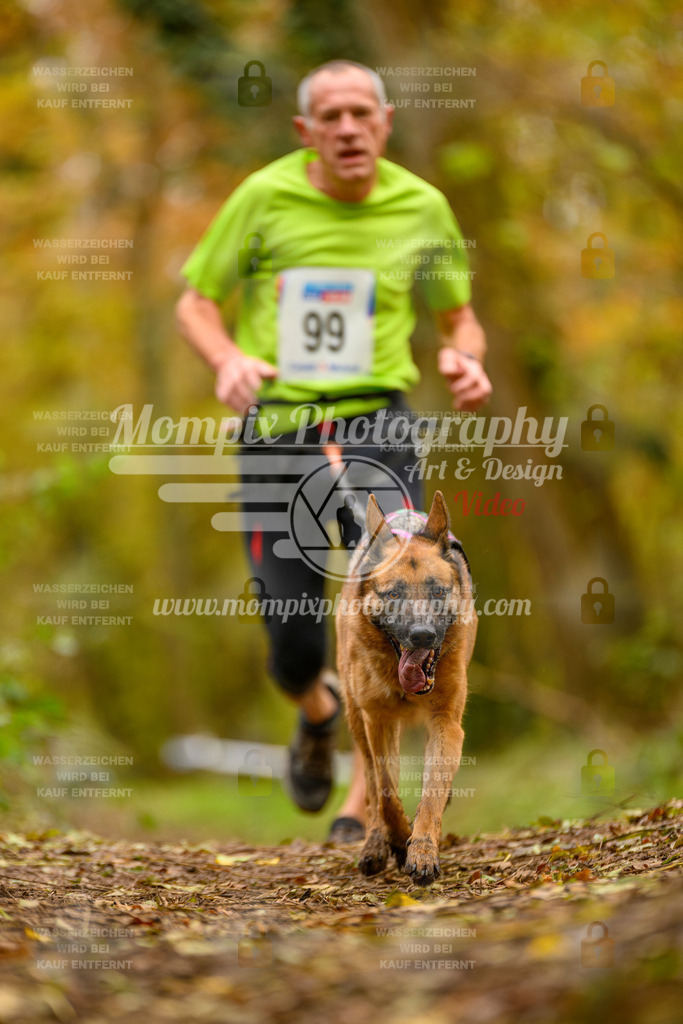 MompixPhotography_Bischwiller24_SA_Canicross-179 | PayLife