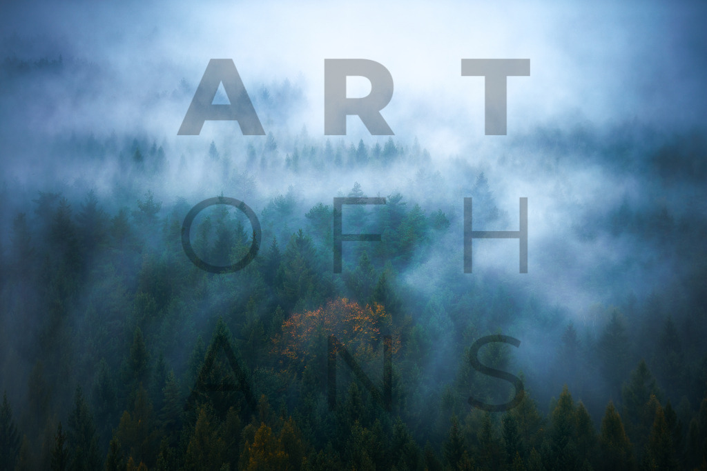 Ein Hans Fineart Original | Entdecke die Kunst von Hans Fineart - Fotografien für dein Zuhause. Verwandle deine Wände mit einzigartigen Kunstwerken und bringe die Schönheit der Welt in dein Leben. Bestelle jetzt und schaffe einen Ort der Inspiration und Eleganz.