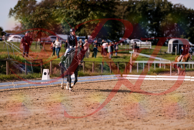 2026_10_03_Siefer-Hof_121554_Z81_17773918 | Professionelle Reitsport-, Turnier- und Eventfotografie von Robert Broda. Galerien mit ausgewählten und bearbeiteten Bildern direkt online ansehen und bestellen.