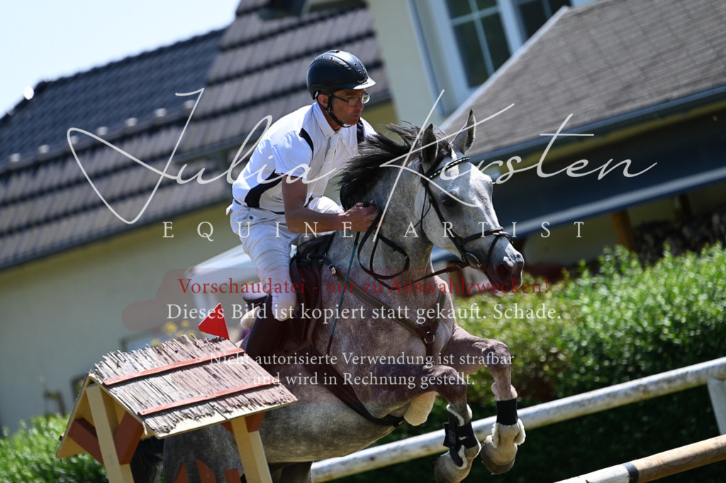 DSC_0645 | Pferde- und Turnierfotografie in Westsachsen. Pferdeportraits, Auftragszeichnungen und intuitive Kunst.