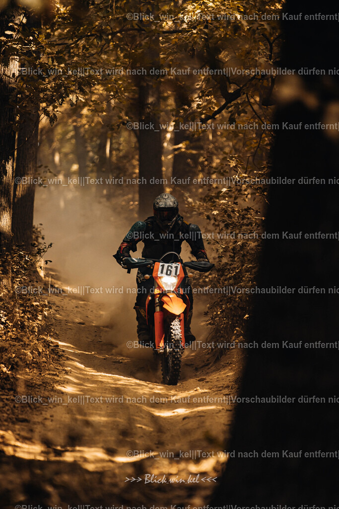 E68A7931 | blick_win_kel