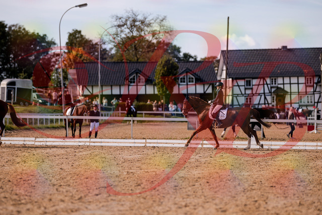 2026_10_03_Siefer-Hof_133119_Z81_84720613 | Professionelle Reitsport-, Turnier- und Eventfotografie von Robert Broda. Galerien mit ausgewählten und bearbeiteten Bildern direkt online ansehen und bestellen.
