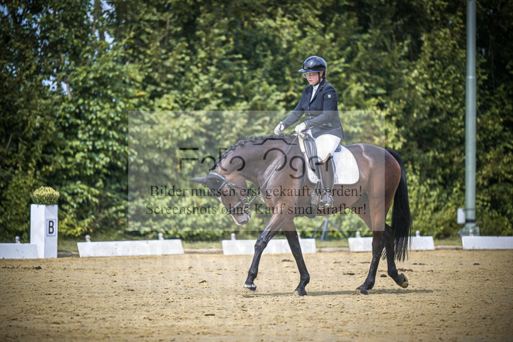 DOS_4266 | Entdecke hochwertige Reitturnierfotos von Foto Oger. Professionell, emotional und authentisch – jetzt Lieblingsmomente im Shop bestellen.Deutschlandweite Turnierfotografie. - Realisiert mit Pictrs.com
