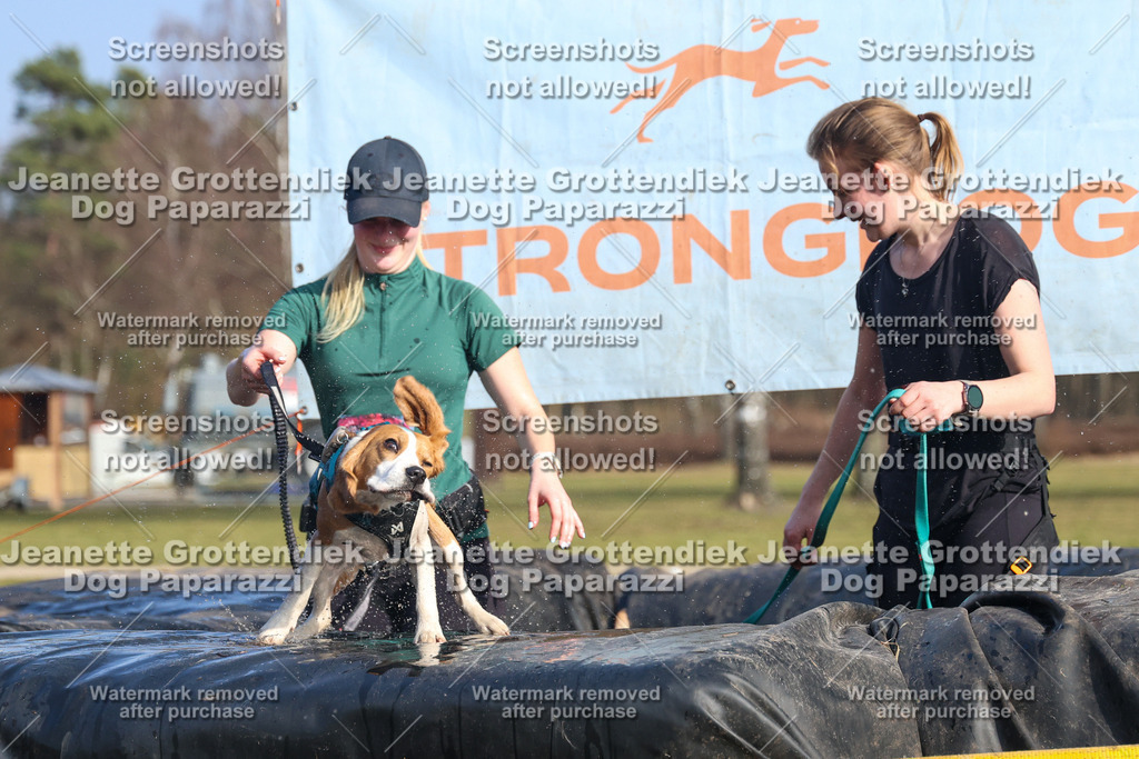 Dog Paparazzi - Strongdog North Mrz26-3182 | Dog Paparazzi Jeanette Grottendiek Fotografie & Videografie - Realisiert mit Pictrs.com