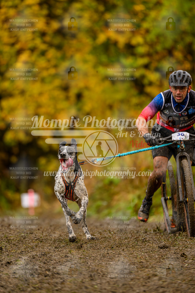 MompixPhotography_ICF_WC_2024_SA_DS_-68 | PayLife
