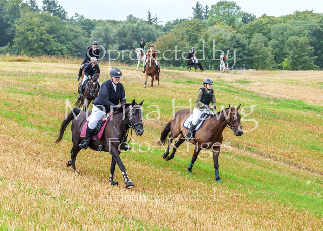 Jagd Kletkamp 26-02891_MarinaHewig | Fotografie, FotoArt, PferdesportArt, Pferdesportfotografie, Landschaftsfotografie, Reisefotografie, Reise, Pferde - Realisiert mit Pictrs.com