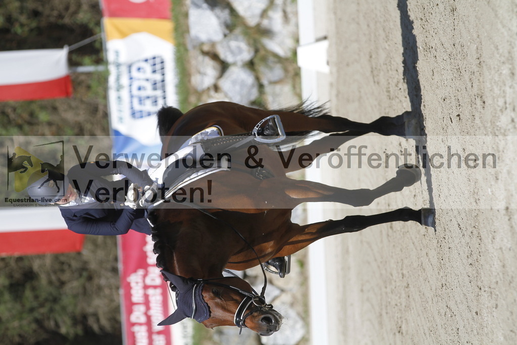 _MG_0478 | equestrian-live-com