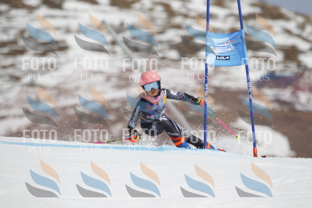 _U3G1671 | holidayphoto