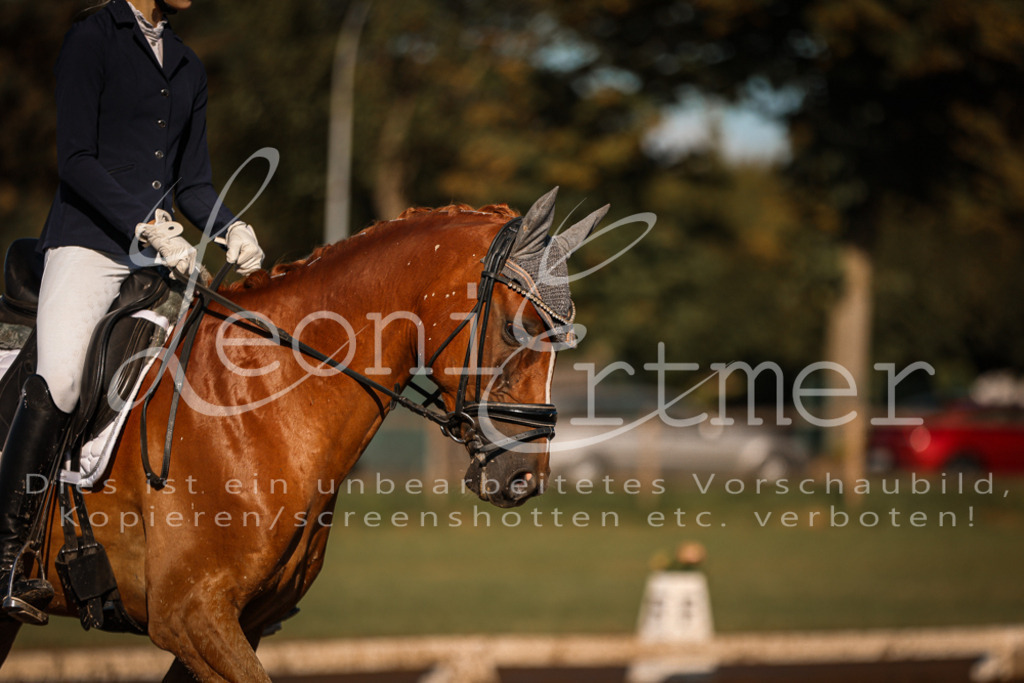 13.SoDrA100362 | Leoni Ertmer Photography - Realisiert mit Pictrs.com