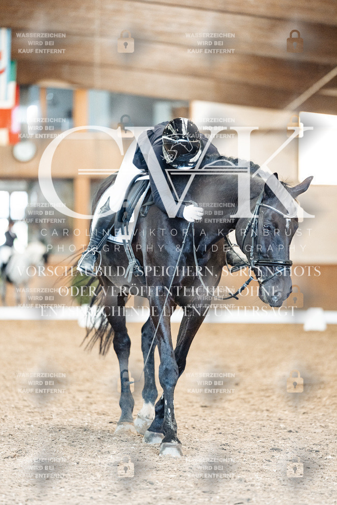 CK909557 | Turnierfotografie Pferdefotografie Trier Rheinland-Pfalz Pferdesport Reitsport Tierfotografie Sportfotografie Pferdevideo Pferdevideografie Equestrianvideography equestrianphotography  - Realisiert mit Pictrs.com