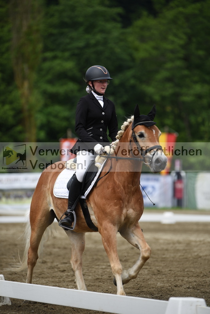 DSC_8231 | equestrian-live-com