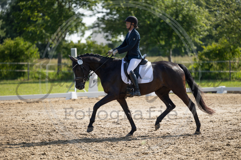 994A4232 | sabrinanicolaifotografie - Realisiert mit Pictrs.com