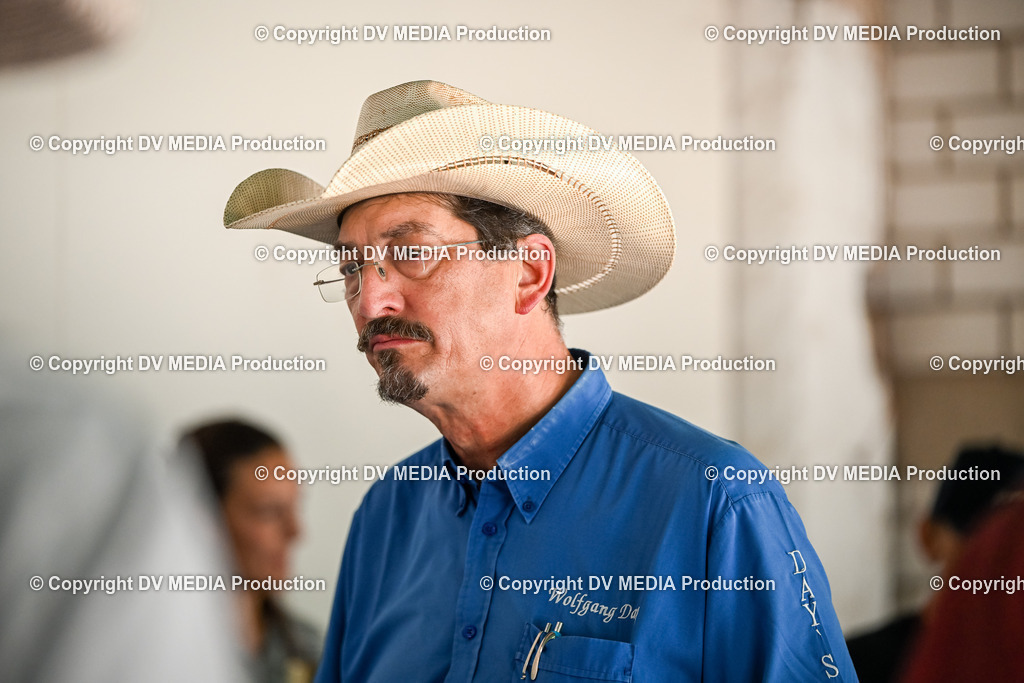 ZS2_3645 | dv-media-shop - Realisiert mit Pictrs.com