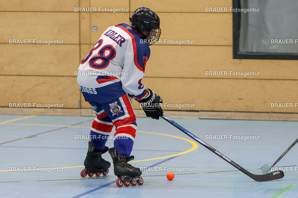 Bockumer Bulldogs Jugend - Monheim Skunks Jugend | 



05.11.1012 Bockumer Bulldogs Jugend - Monheim Skunks Jugend

(Foto von Michael Adler)

