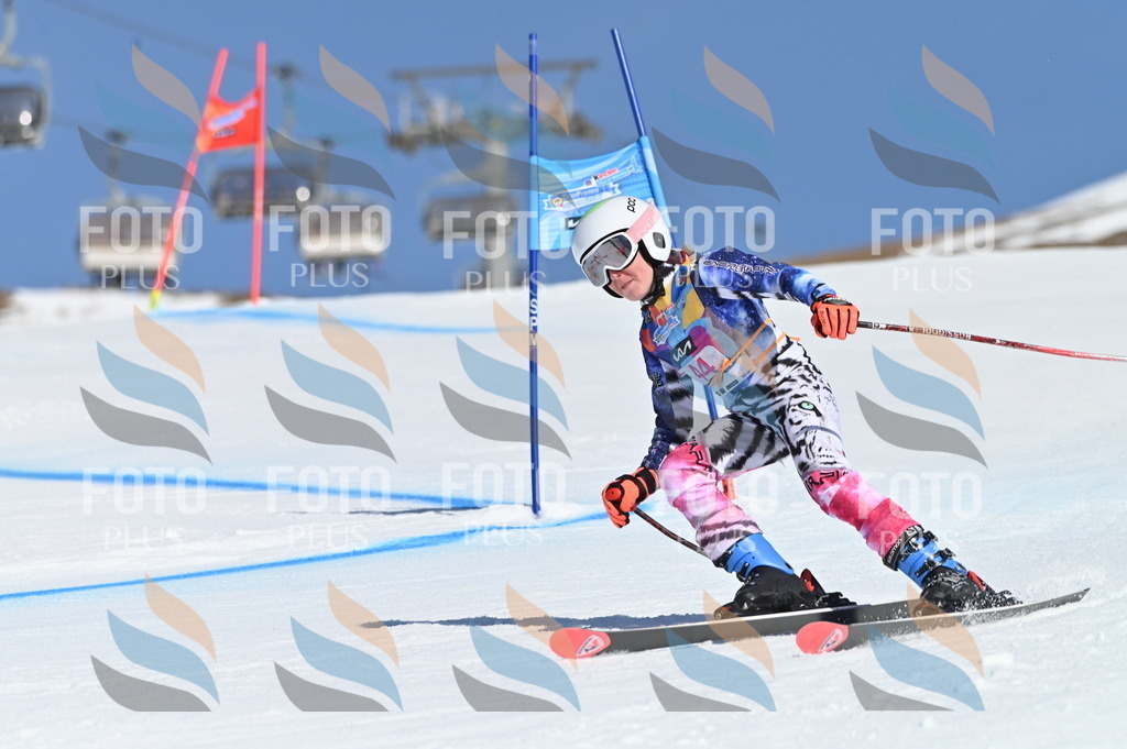 BGV_8432 | holidayphoto