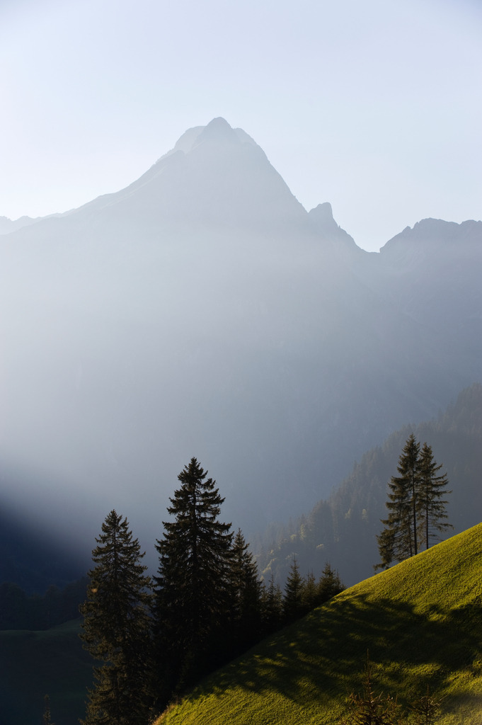 Bergspitze mit Tannen | Austria - October 03, 2010: Bergspitze mit Tannen. - Realisiert mit Pictrs.com