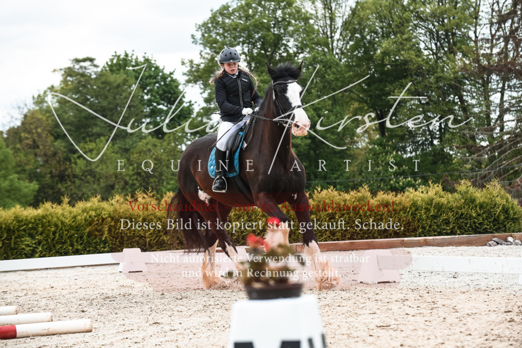 20230518_JK-Röhrsdorf-10-382 | Pferde- und Turnierfotografie in Westsachsen. Pferdeportraits, Auftragszeichnungen und intuitive Kunst.