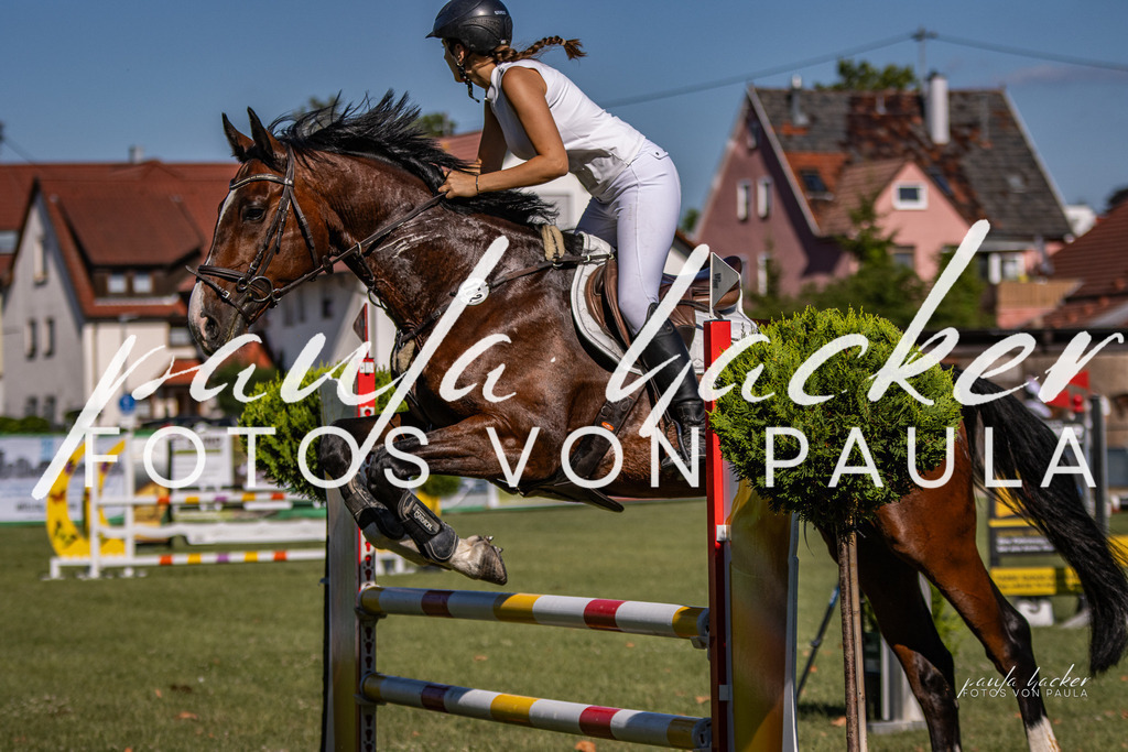 IMG_9859 | Erleben Sie dynamische Sport- und emotionale Tierfotografie in Süddeutschland mit Fotos von Paula. Spezialisiert auf Pferde- und Hundefotografie sowie Sportevents. Kontaktieren Sie mich für einzigartige und ausdrucksstarke Bilder Ihrer besonderen Momente. - Realisiert mit Pictrs.com