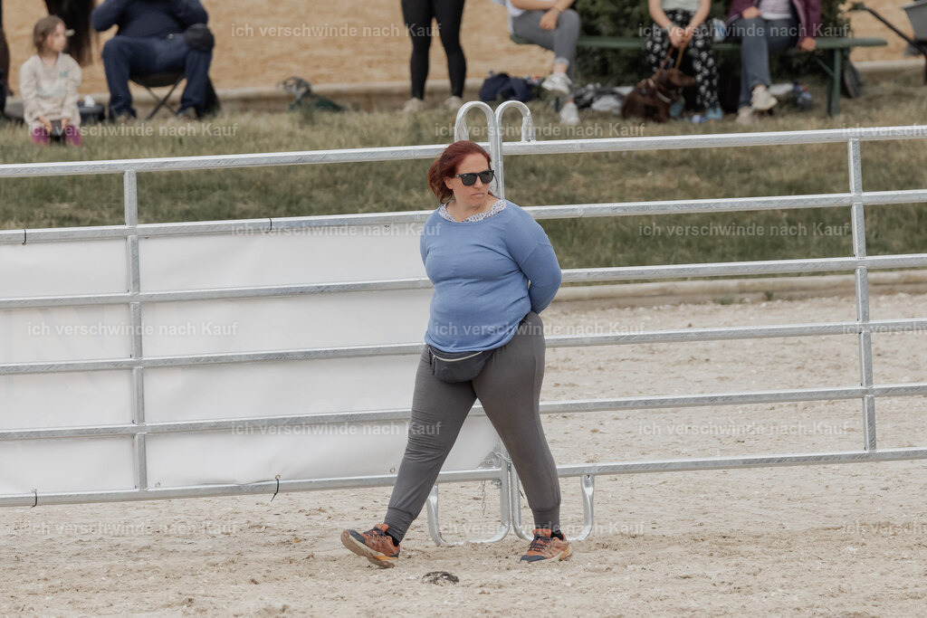 WE__Stoib_Rinder_PI2025_3018 | Pferd International München 2025