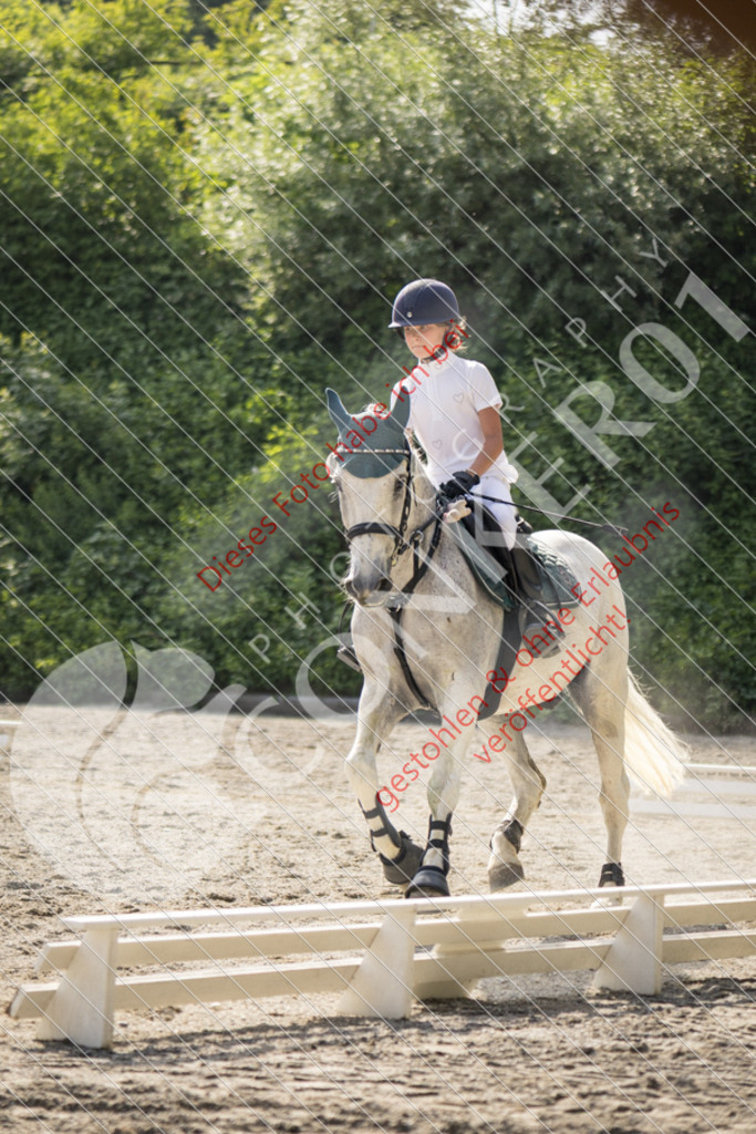 IMG_5862 | Sport-, Event- und Tierfotos in Profiqualität. Einfach auswählen, bestellen und herunterladen. Dein Moment – perfekt festgehalten.