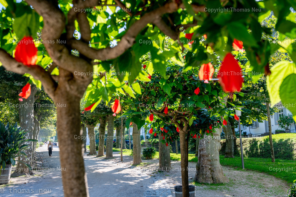 DSC_9538 | Der Staatspark Fürstenlager in Bensheim Auerbach, an der hessischen Bergstraße- ist ein wunderschöner Landschaftspark nach englischen Vorbild. Es war die Sommerresidenz der Darmstädter Fürstenfamilie die hier das "einfache Landleben" genossen. Zu jeder Jahreszeit kann man das Fürstenlager als Ausflugsziel empfehlen. Im Herrenhaus ist eine Gastronomie untergebracht. Im Sommer findet auf der Bühne vor der großen Wiese ein Opern-Air statt, 