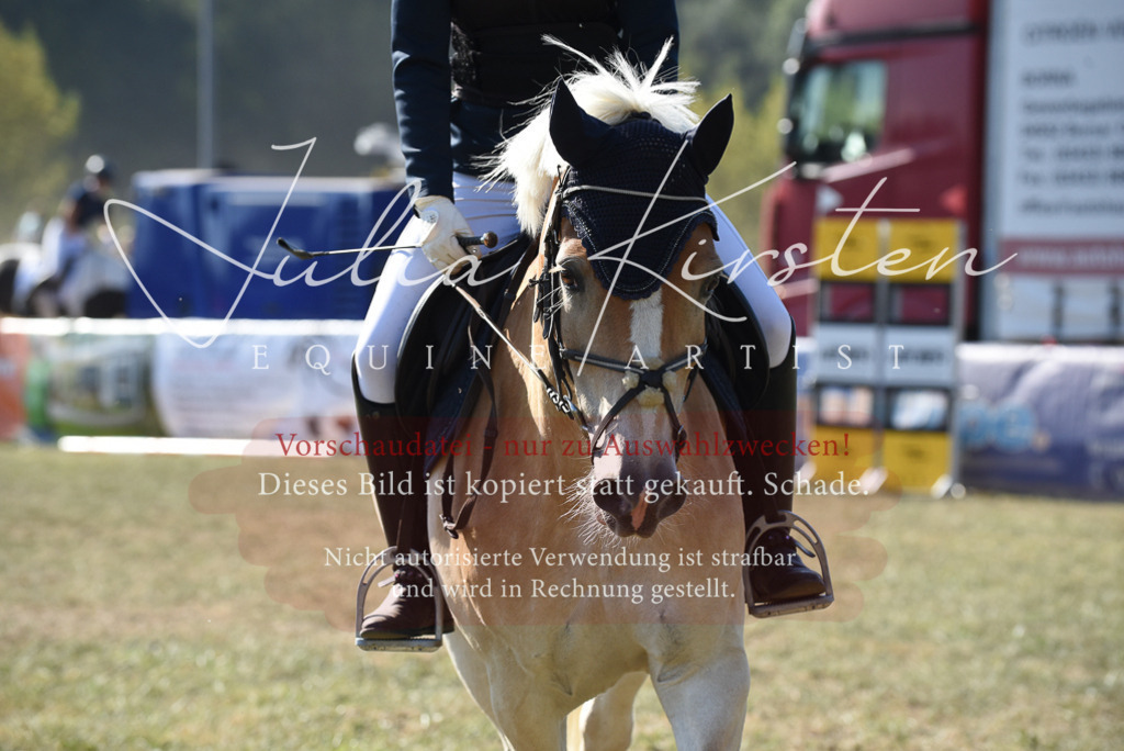 DSC_5881 | Pferde- und Turnierfotografie in Westsachsen. Pferdeportraits, Auftragszeichnungen und intuitive Kunst.