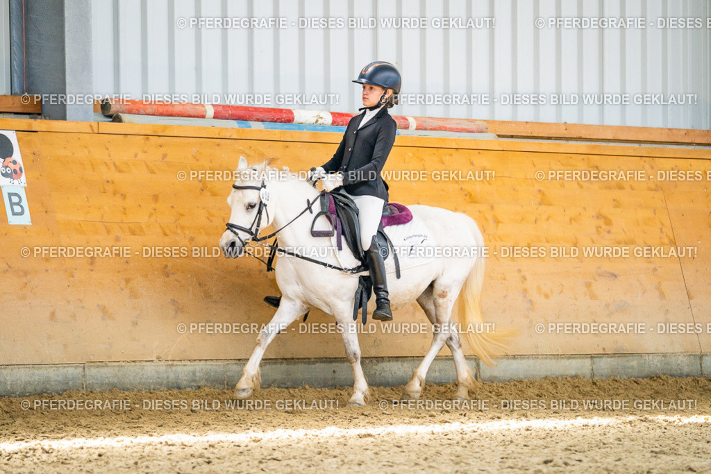 DSC03261 | Pferdegrafie