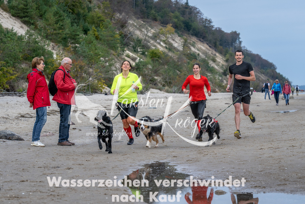 1221_ZZ91278 | kk-dogfotos