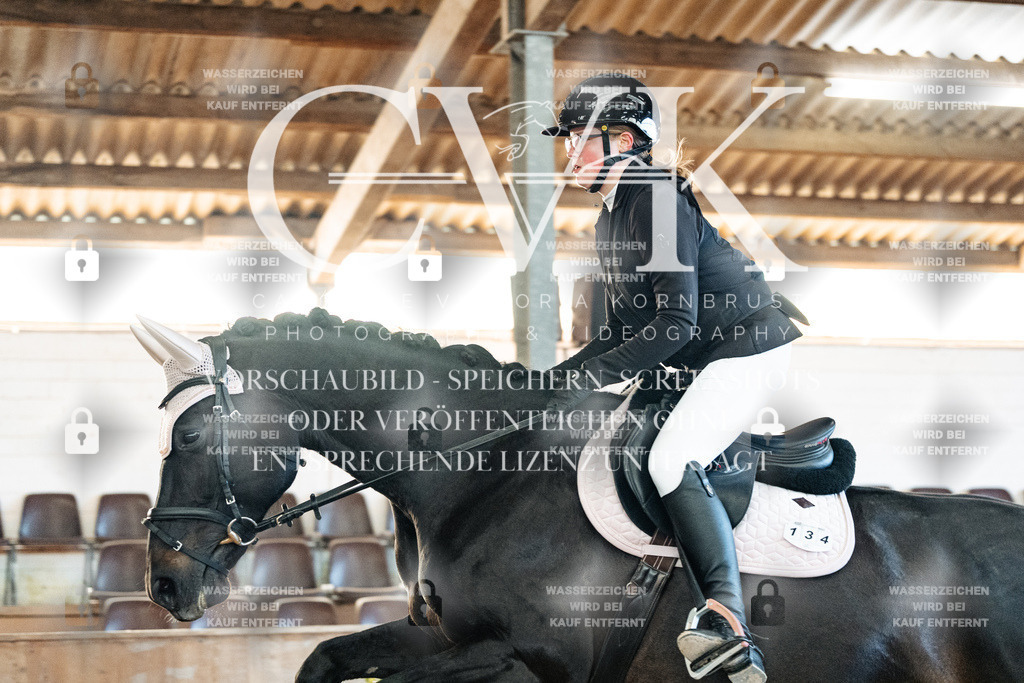CK903980 | Turnierfotografie Pferdefotografie Trier Rheinland-Pfalz Pferdesport Reitsport Tierfotografie Sportfotografie Pferdevideo Pferdevideografie Equestrianvideography equestrianphotography  - Realisiert mit Pictrs.com