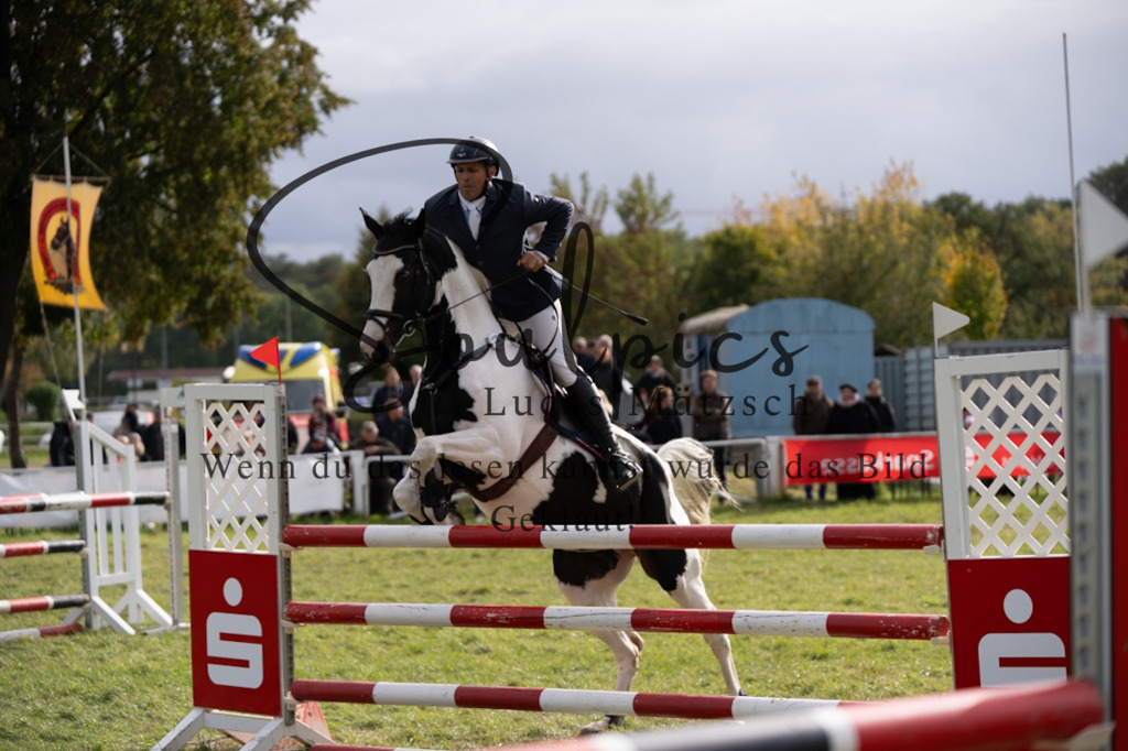 A7V07387 | Pferdefotograf