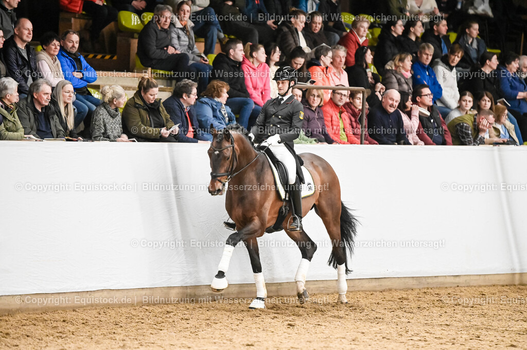 20260307_Hengstvorstellung-Marbach_0377 | equistock