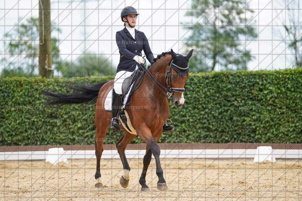 20240630-FAH02061 | Turnierbilder Schwabmünchen, Dressurbilder, Springreitturnier, Reitsportbilder, Turnierfotografen Bayern, Turnierfotograf