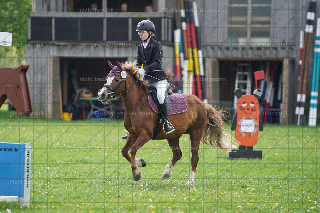 20240509-FAH02333 | Turnierbilder der Turnierfotografen Bayern, Pferdesport Fotografie, Reitsportbilder, Turnier Landberg am Lech, Turnierbilder bayern, Fotoagentur Herrmann