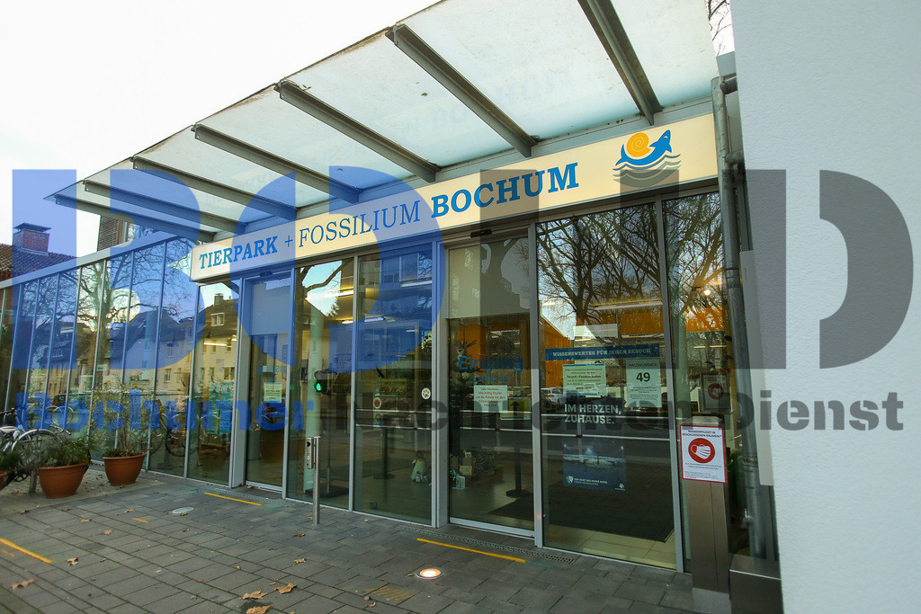  10.12.2020 - 
 | Sebastian Sendlak / Bochumer Nachrichtendienst (BOND) - Bochum Allgemein - Tierpark und Fossilium - Realisiert mit Pictrs.com