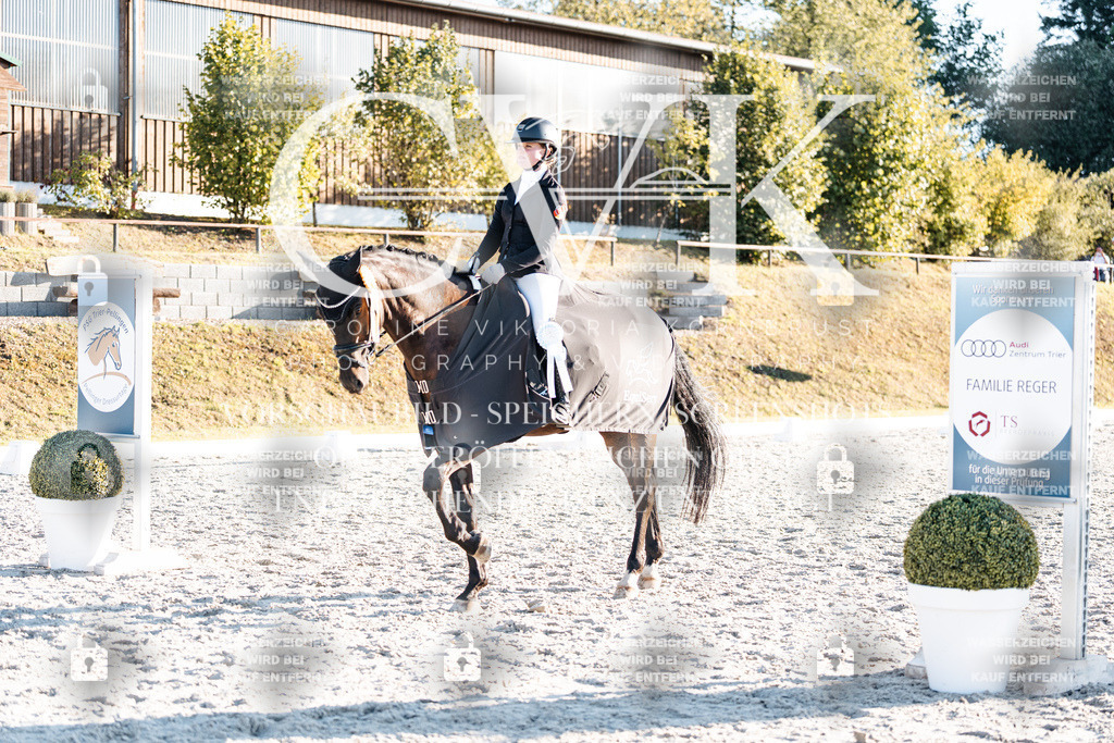 CK907243 | Turnierfotografie Pferdefotografie Trier Rheinland-Pfalz Pferdesport Reitsport Tierfotografie Sportfotografie Pferdevideo Pferdevideografie Equestrianvideography equestrianphotography  - Realisiert mit Pictrs.com
