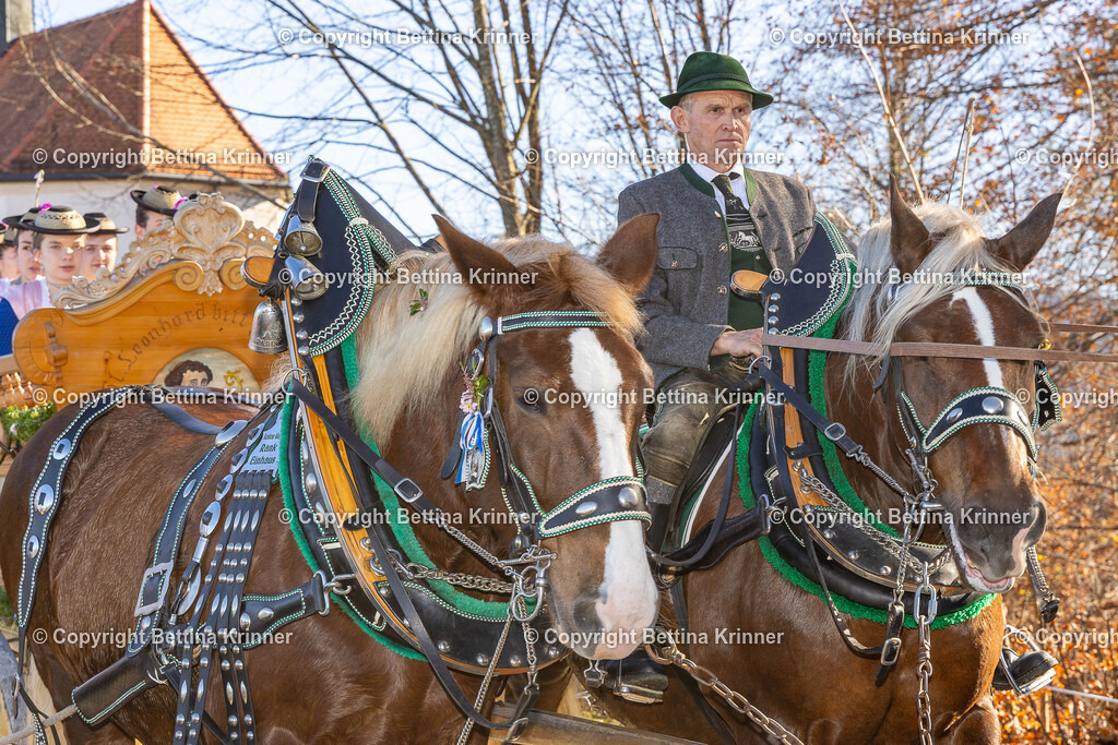 LBT25-1413 | foto-bettina-krinner - Realisiert mit Pictrs.com
