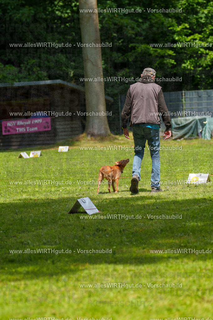 @allesWIRTHgut_Tierfotografie - www.allesWIRTHgut.de - 7R504152 | Professionelle Tierfotografie in Mönchengladbach von Daniel Wirth (allesWIRTHgut). Liebevolle & natürliche Bilder von Hunden & Katzen für unvergessliche Erinnerungen.