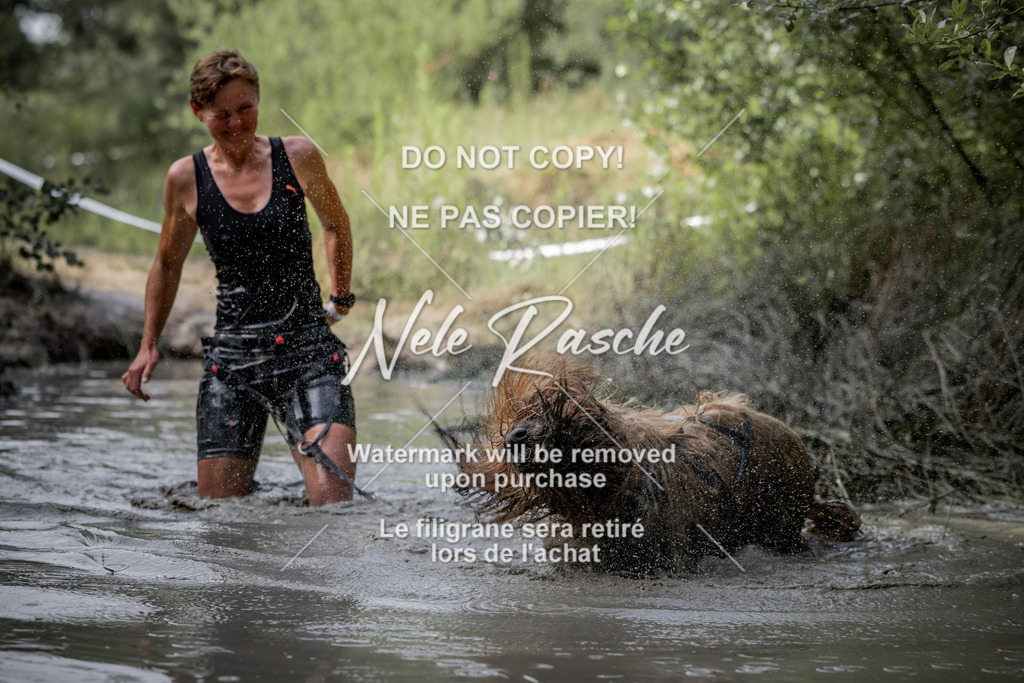 nelerasche_so0800-0930_92 | nelerasche