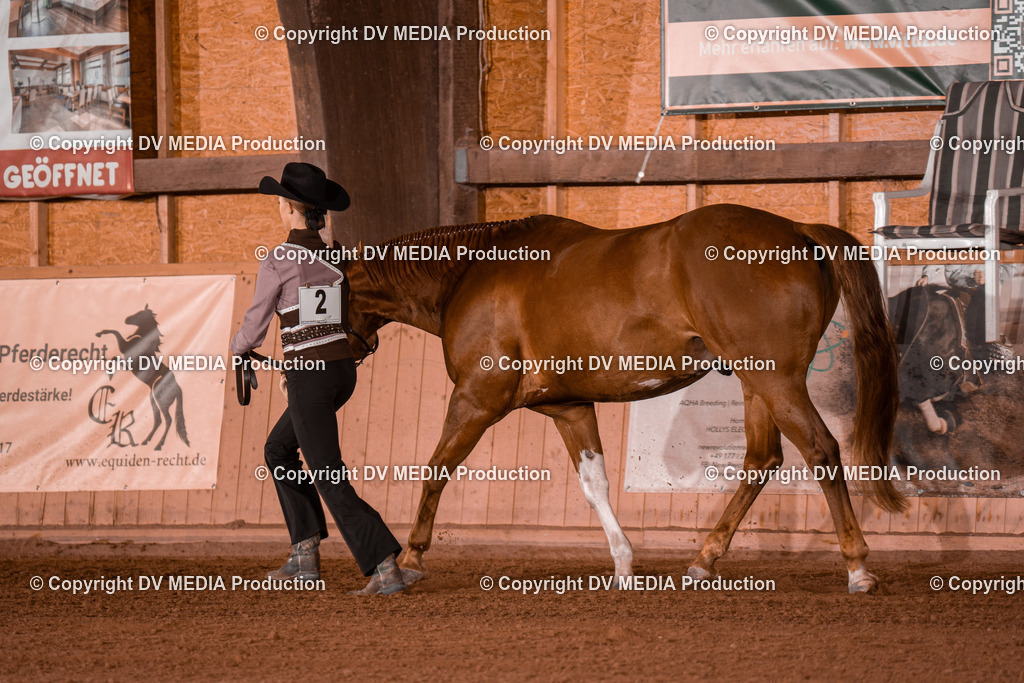 NE201494 | dv-media-shop - Realisiert mit Pictrs.com