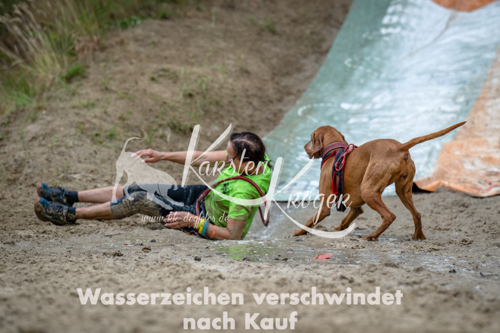 1213_ZZ91365-Bearbeitet | kk-dogfotos