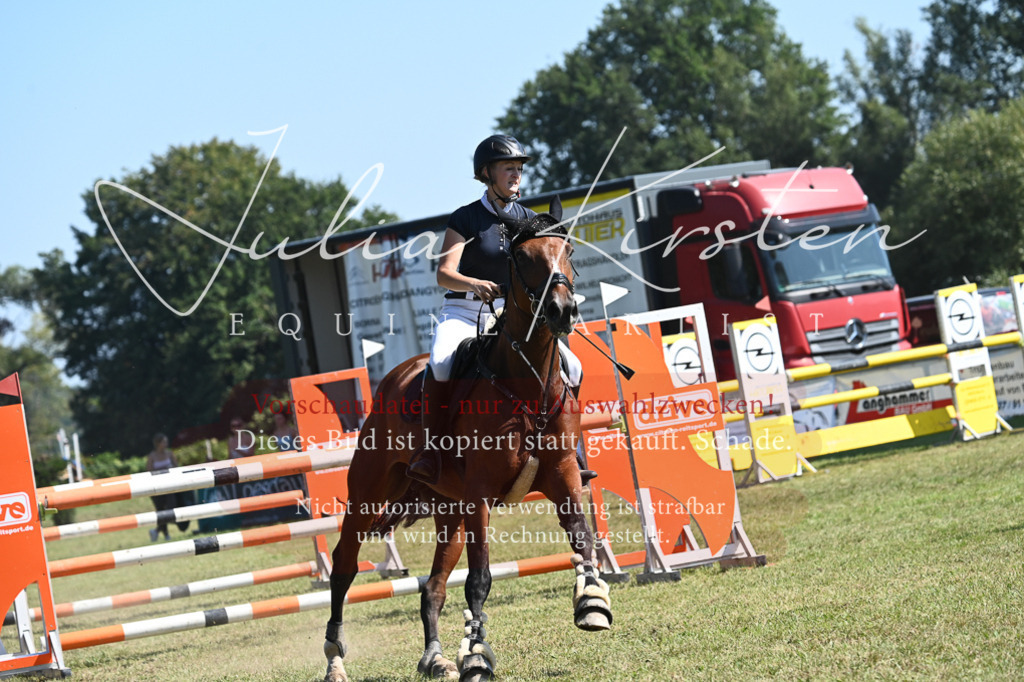 DSC_6433 | Pferde- und Turnierfotografie in Westsachsen. Pferdeportraits, Auftragszeichnungen und intuitive Kunst.