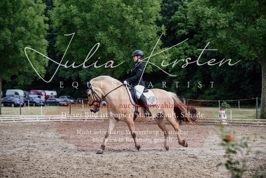 DSC_1693 | Pferde- und Turnierfotografie in Westsachsen. Pferdeportraits, Auftragszeichnungen und intuitive Kunst.
