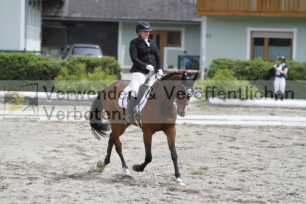 _MG_8868 | equestrian-live-com
