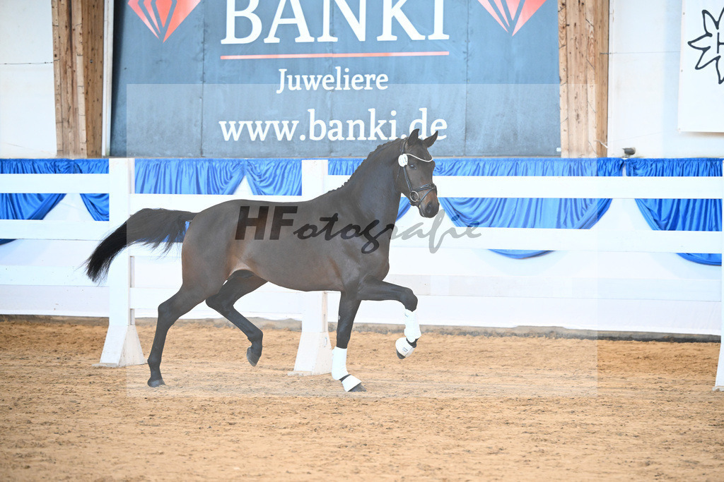 Kat-Nr. 22 Bon Amour v. Bon Courage_Reglauer_8260544 | hf-fotografie - Realizzato con Pictrs.com