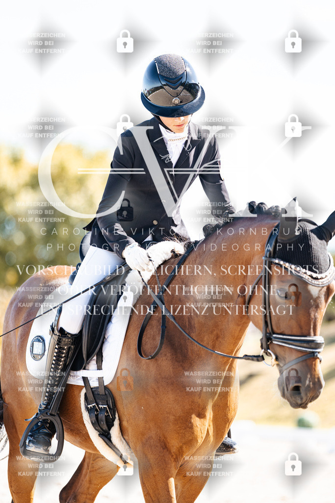 CK909294 | Turnierfotografie Pferdefotografie Trier Rheinland-Pfalz Pferdesport Reitsport Tierfotografie Sportfotografie Pferdevideo Pferdevideografie Equestrianvideography equestrianphotography  - Realisiert mit Pictrs.com