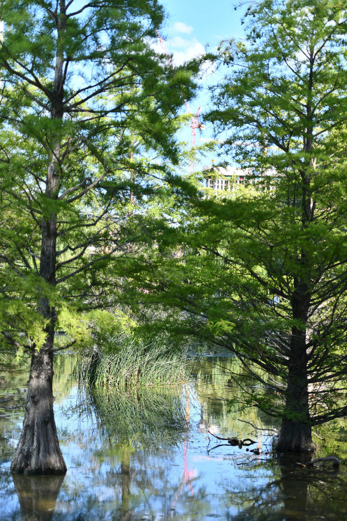 D85_0499_1 | Foto-Agnes Shop - Realisiert mit Pictrs.com