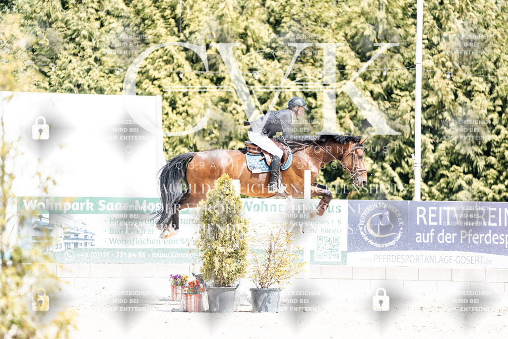 CK900134 | Turnierfotografie Pferdefotografie Trier Rheinland-Pfalz Pferdesport Reitsport Tierfotografie Sportfotografie Pferdevideo Pferdevideografie Equestrianvideography equestrianphotography  - Realisiert mit Pictrs.com