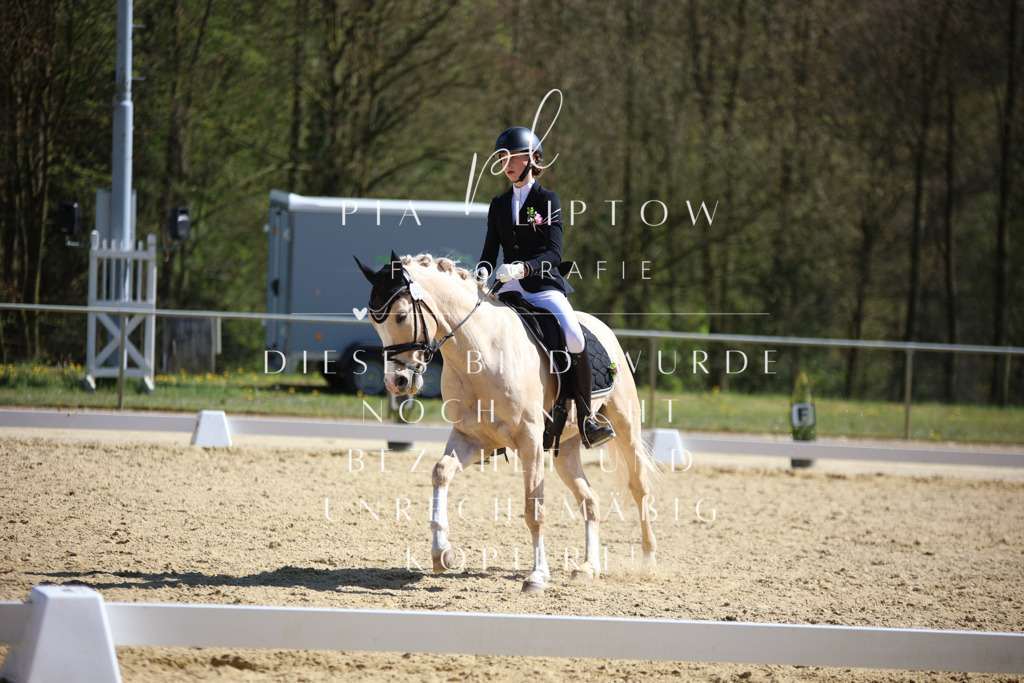 IMGT2081 | pl-fotografie