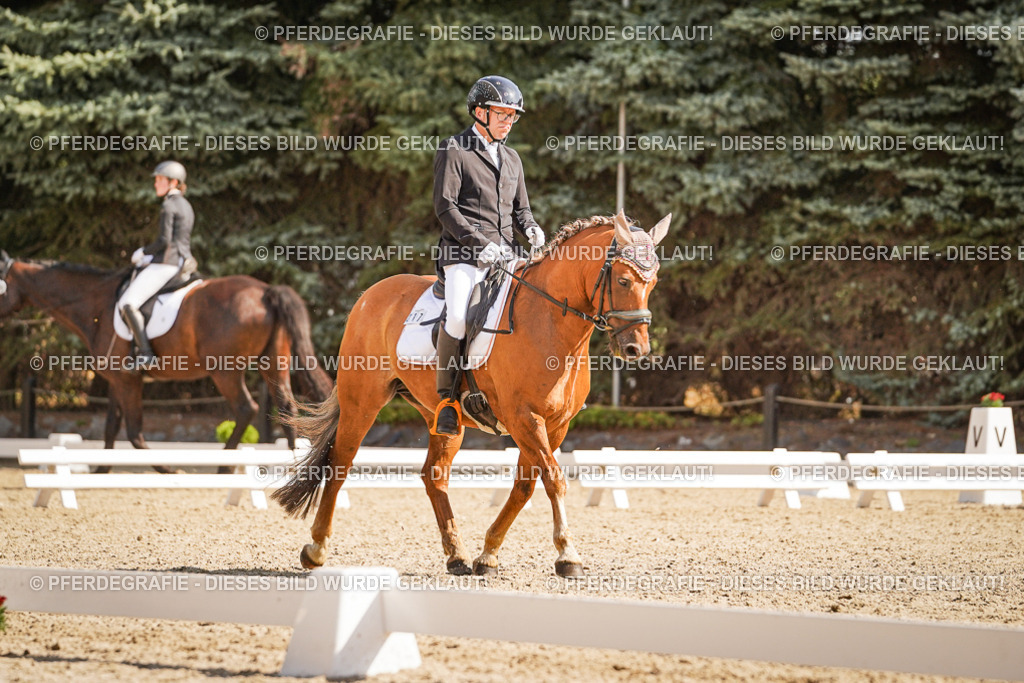 DSC00698 | Pferdegrafie